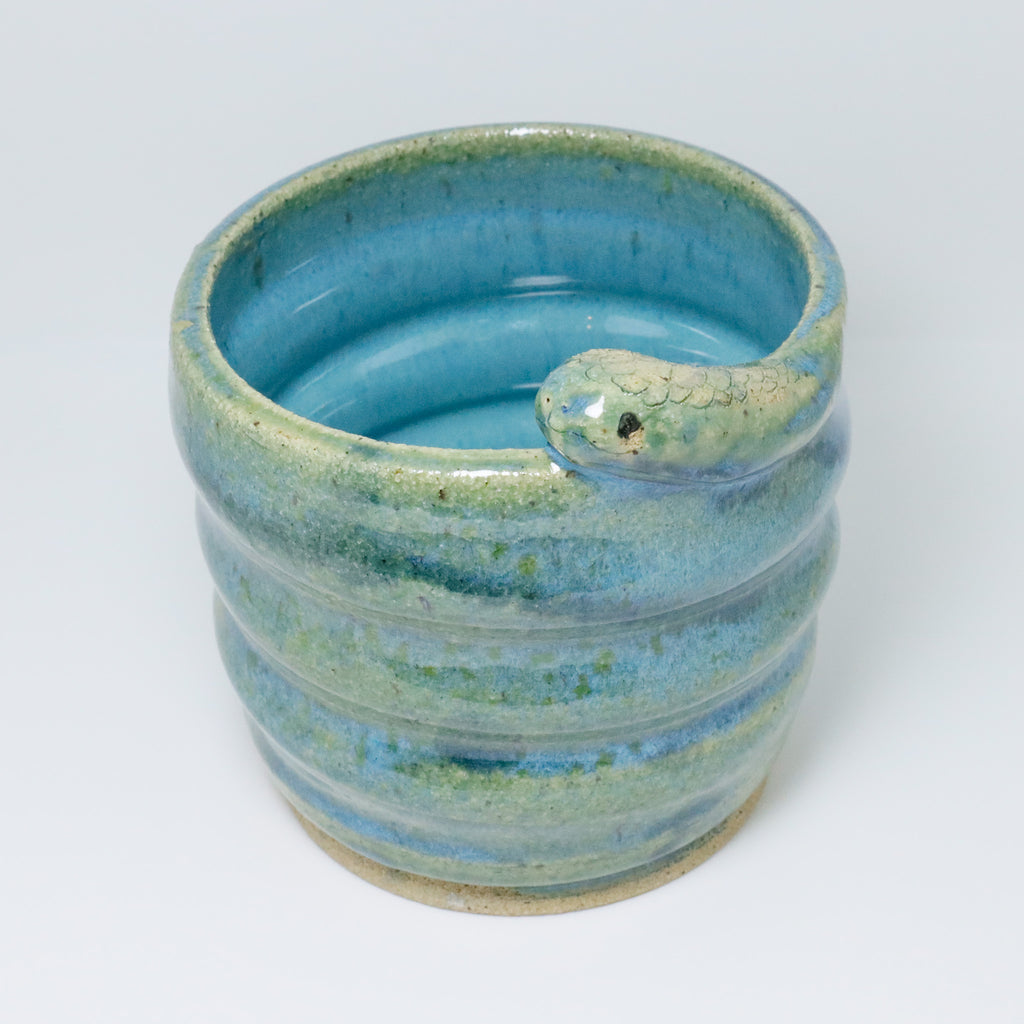 Aqua | Snake Planter