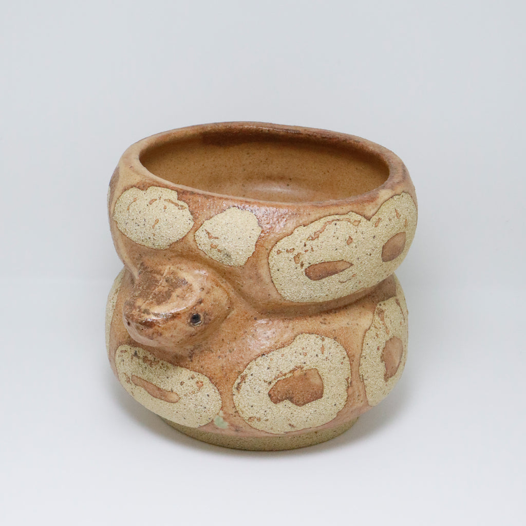 Cheese Cake | Snake Planter