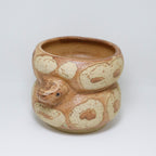 Cheese Cake | Snake Planter
