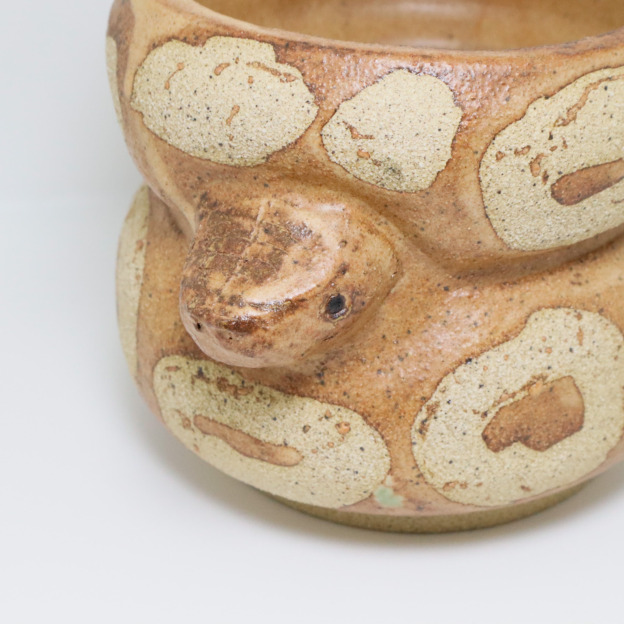 Chocolate Cake | Snake Planter