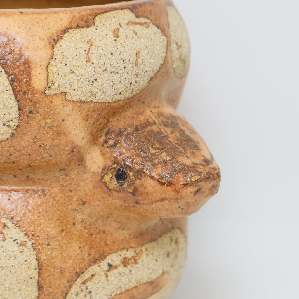 Cheese Cake | Snake Planter