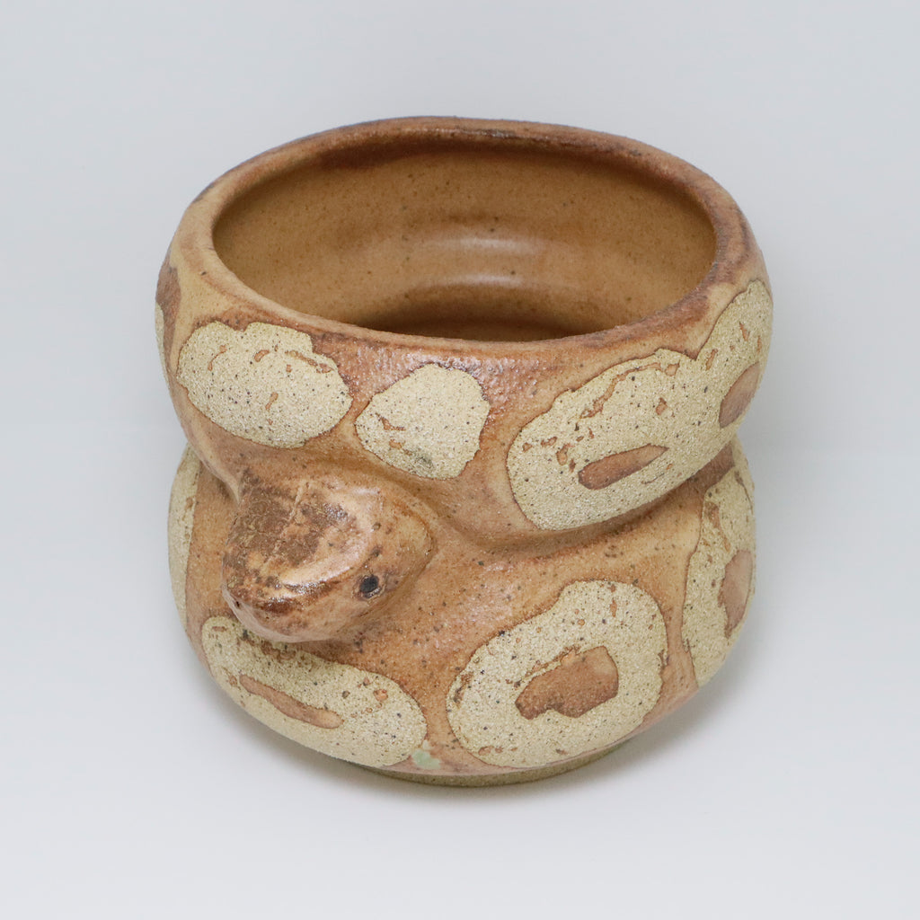 Cheese Cake | Snake Planter