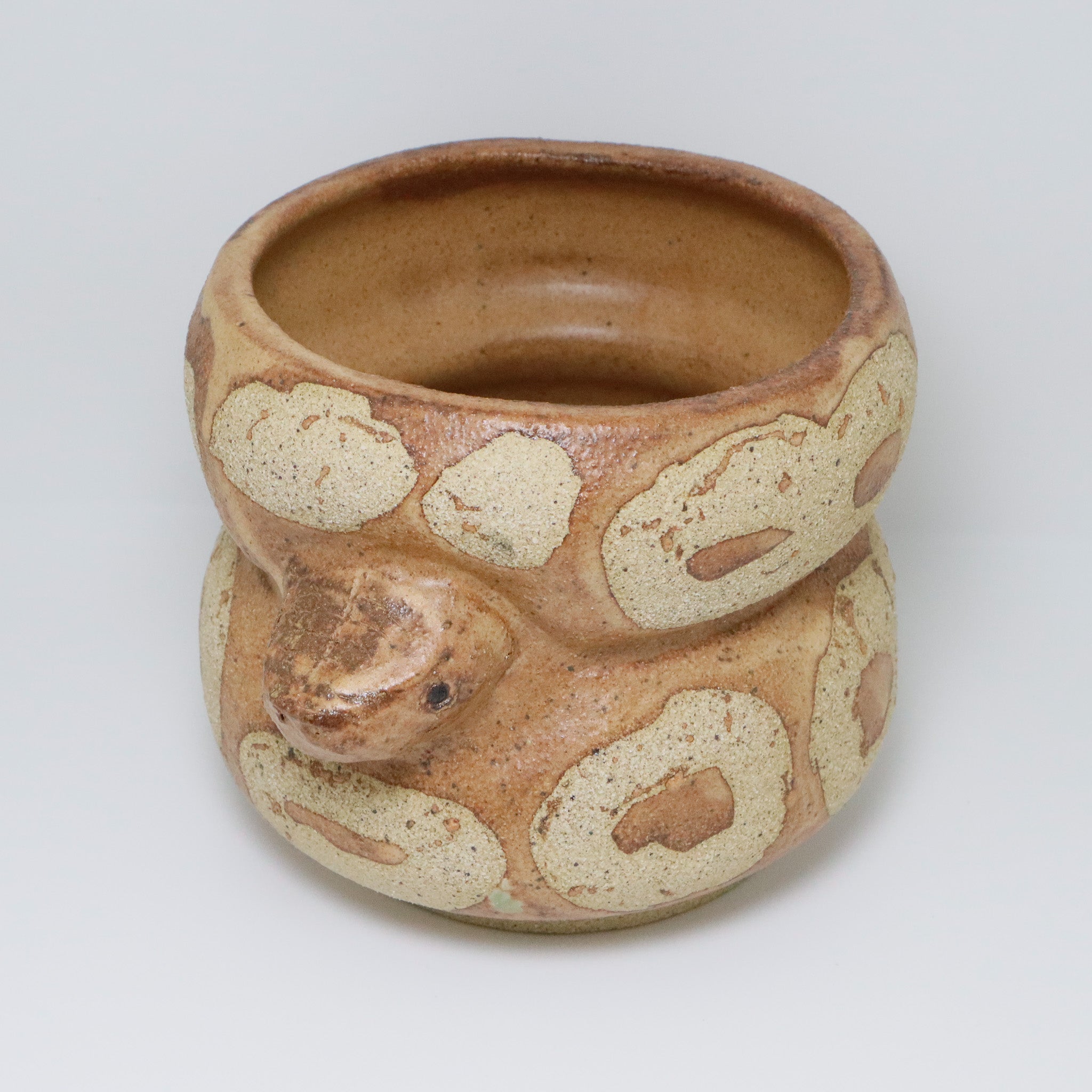 Cheese Cake | Snake Planter