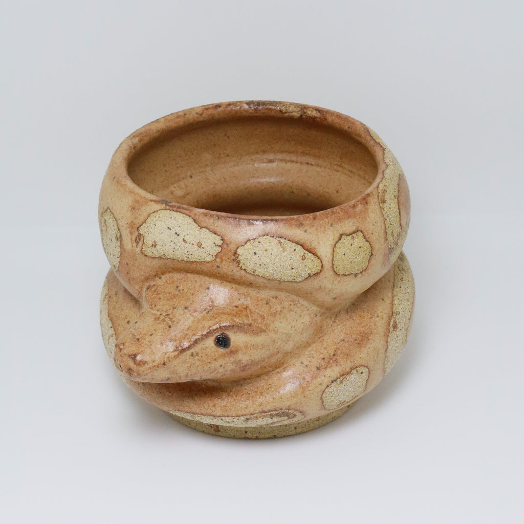 Chocolate Cake | Snake Planter