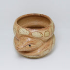 Chocolate Cake | Snake Planter