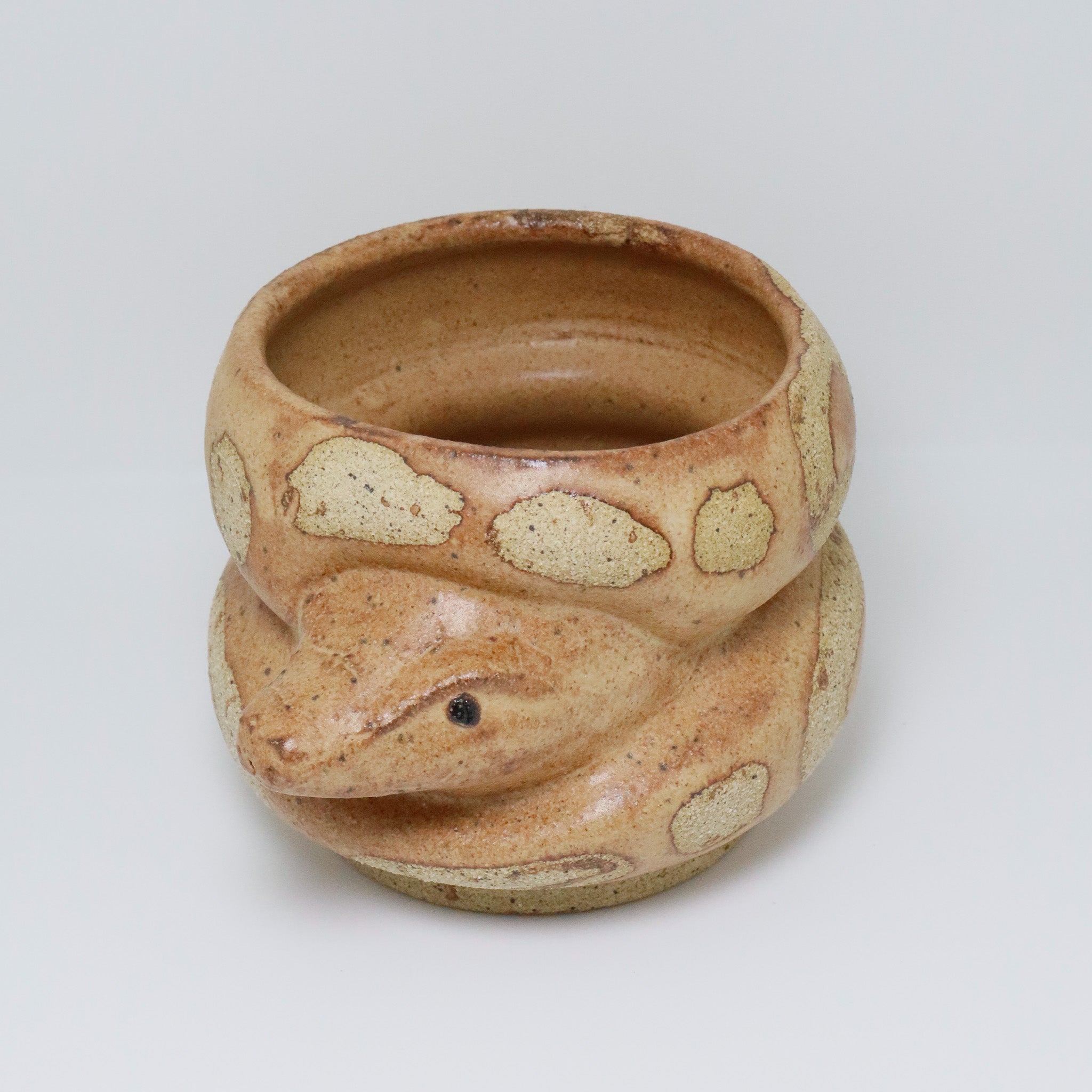 Chocolate Cake | Snake Planter