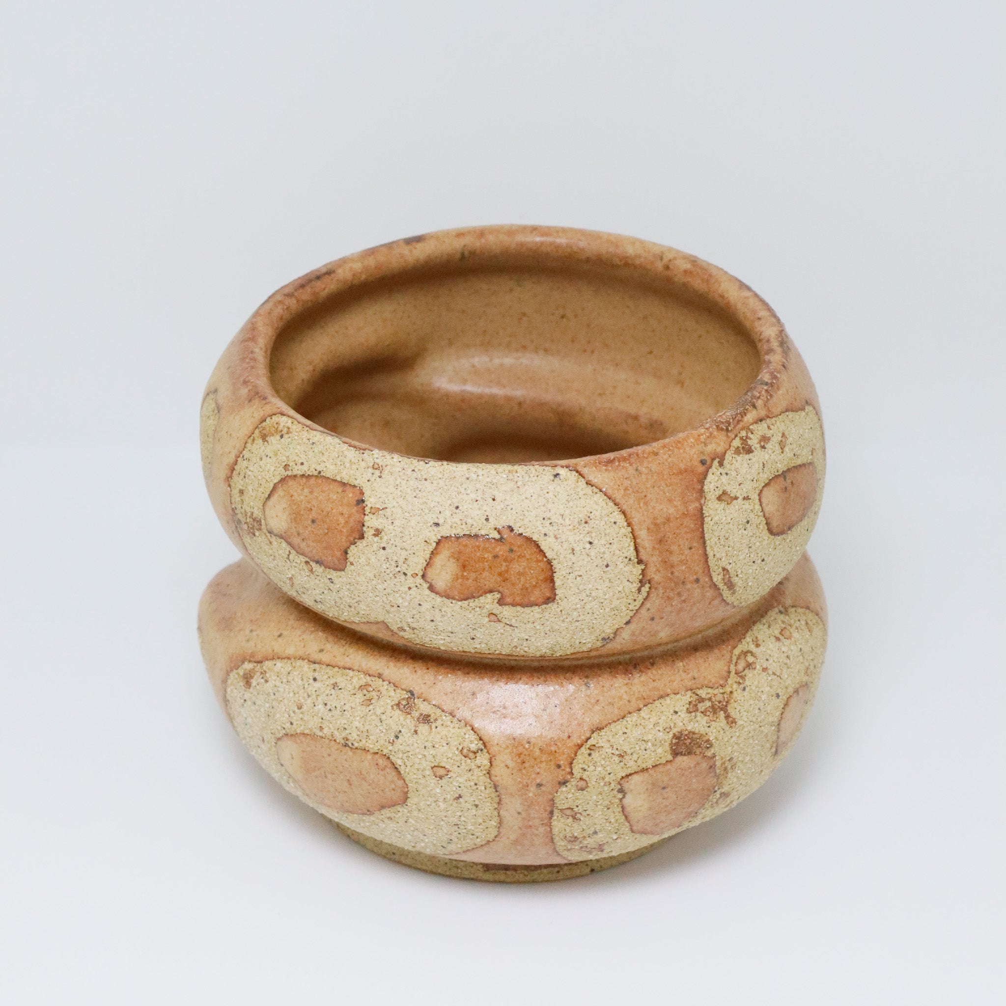 Chocolate Cake | Snake Planter