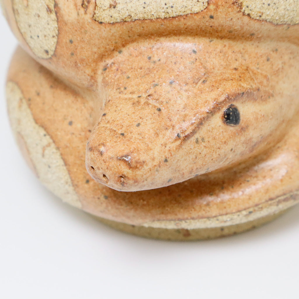 Chocolate Cake | Snake Planter