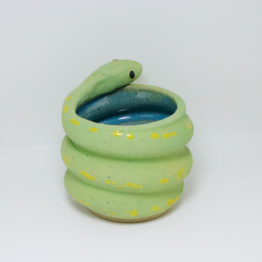 Lime | Snake Planter