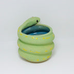 Lime | Snake Planter