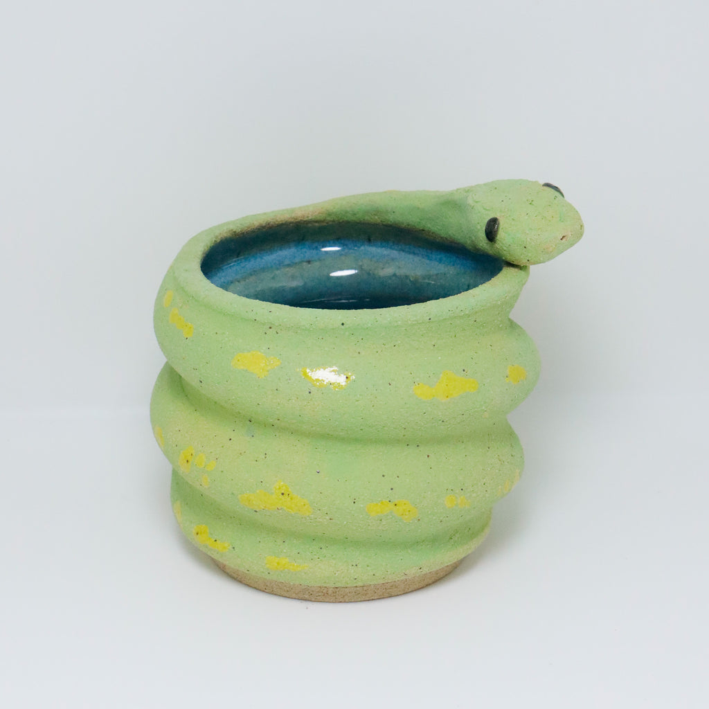 Lime | Snake Planter