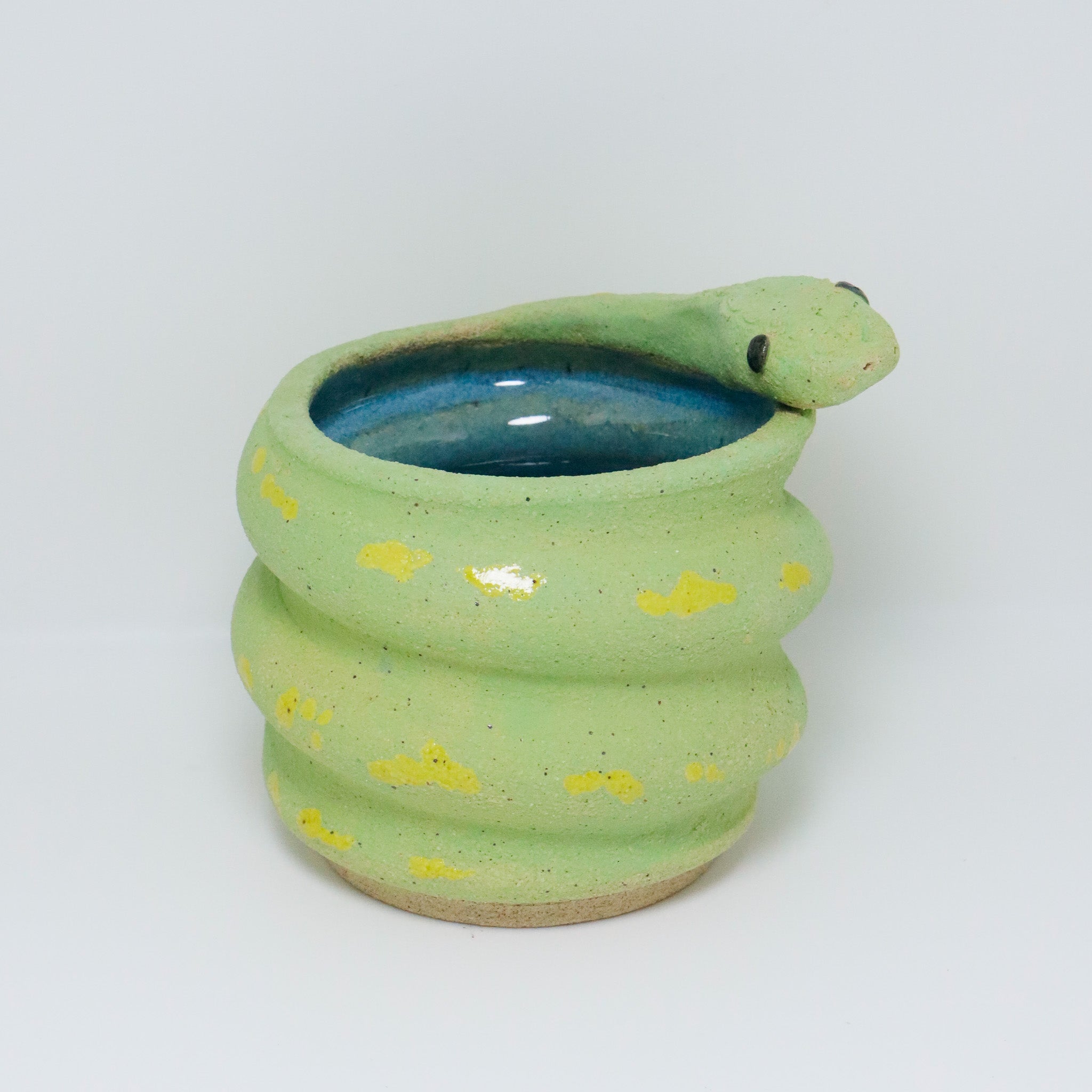 Lime | Snake Planter