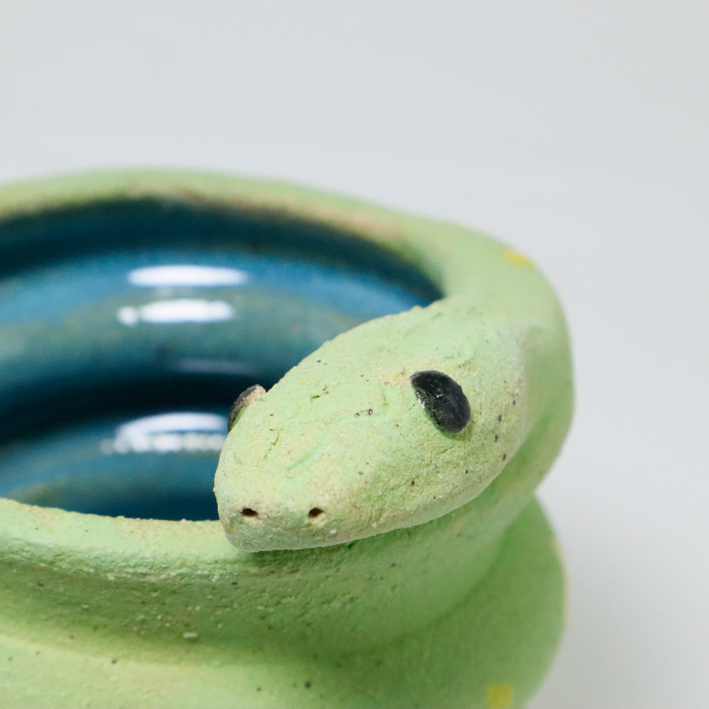 Lime | Snake Planter