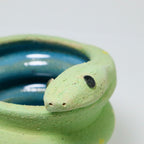 Lime | Snake Planter