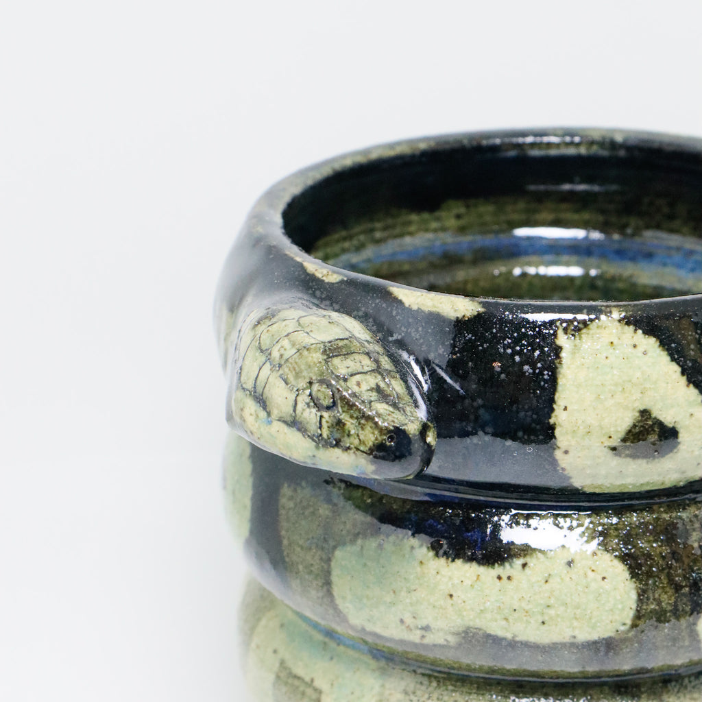 Jade | Snake Planter