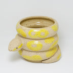 Lemon | Snake Planter