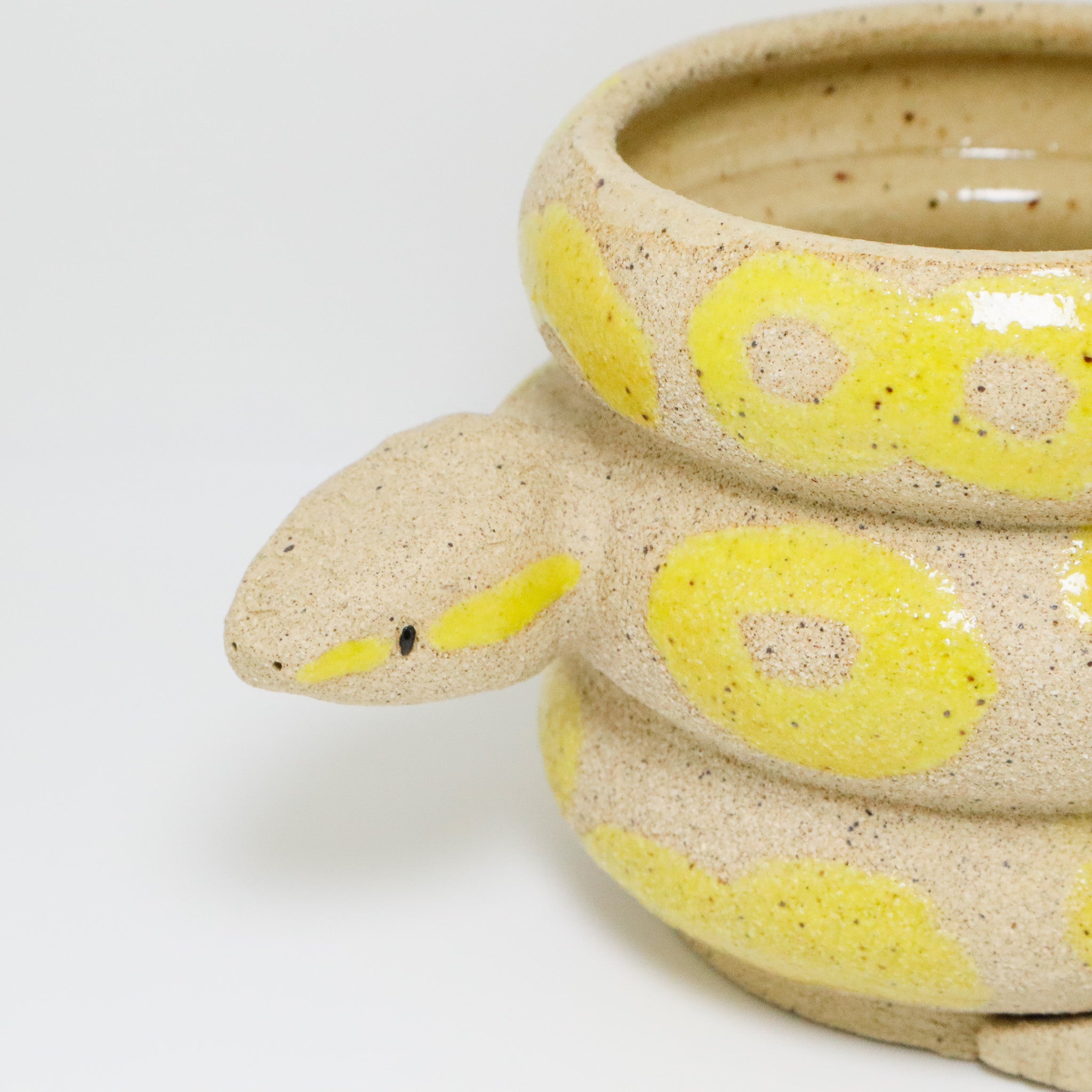 Lemon | Snake Planter