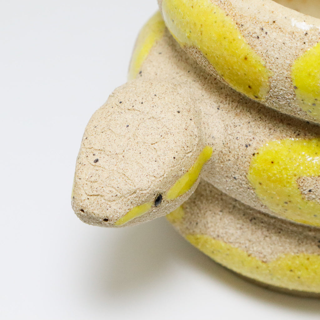 Lemon | Snake Planter