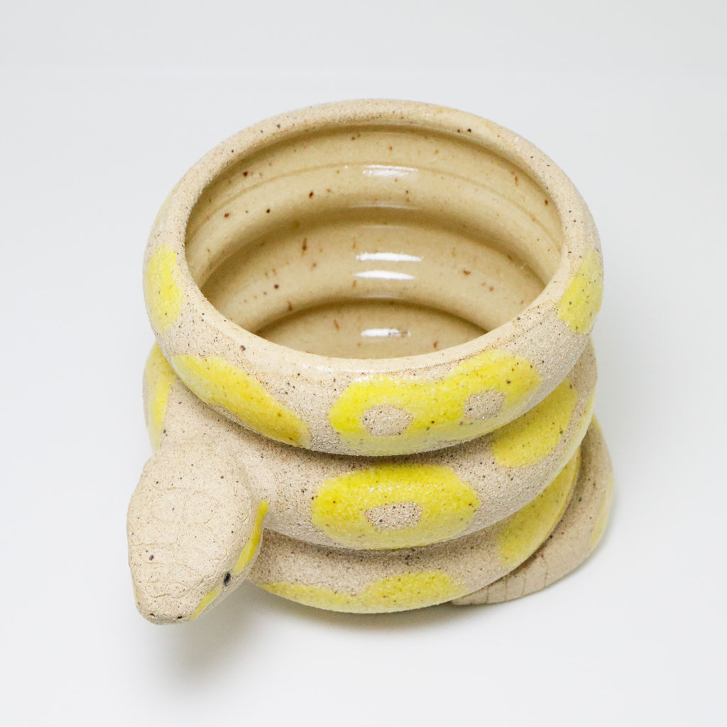 Lemon | Snake Planter
