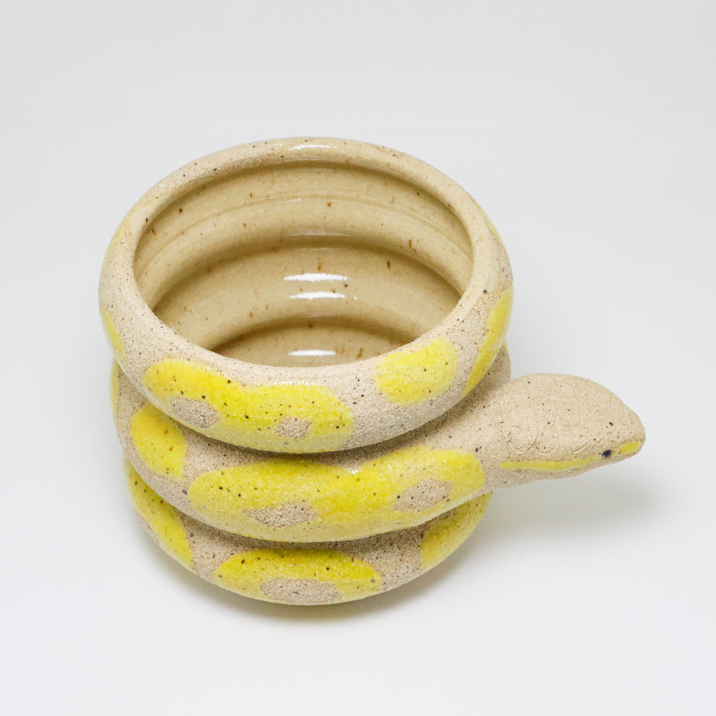 Lemon | Snake Planter