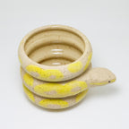 Lemon | Snake Planter