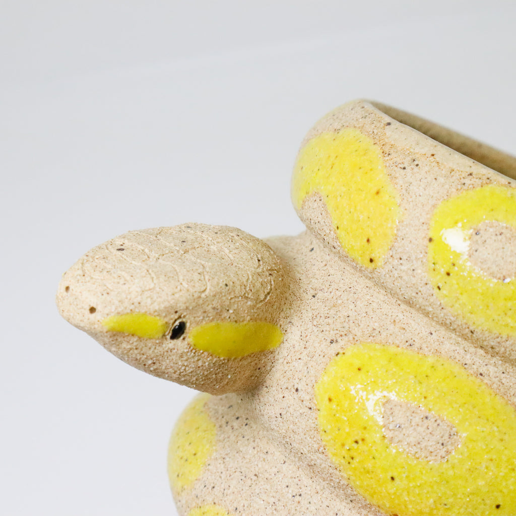Lemon | Snake Planter
