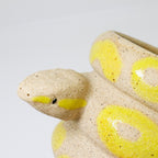 Lemon | Snake Planter