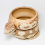 Banana Bread | Snake Planter