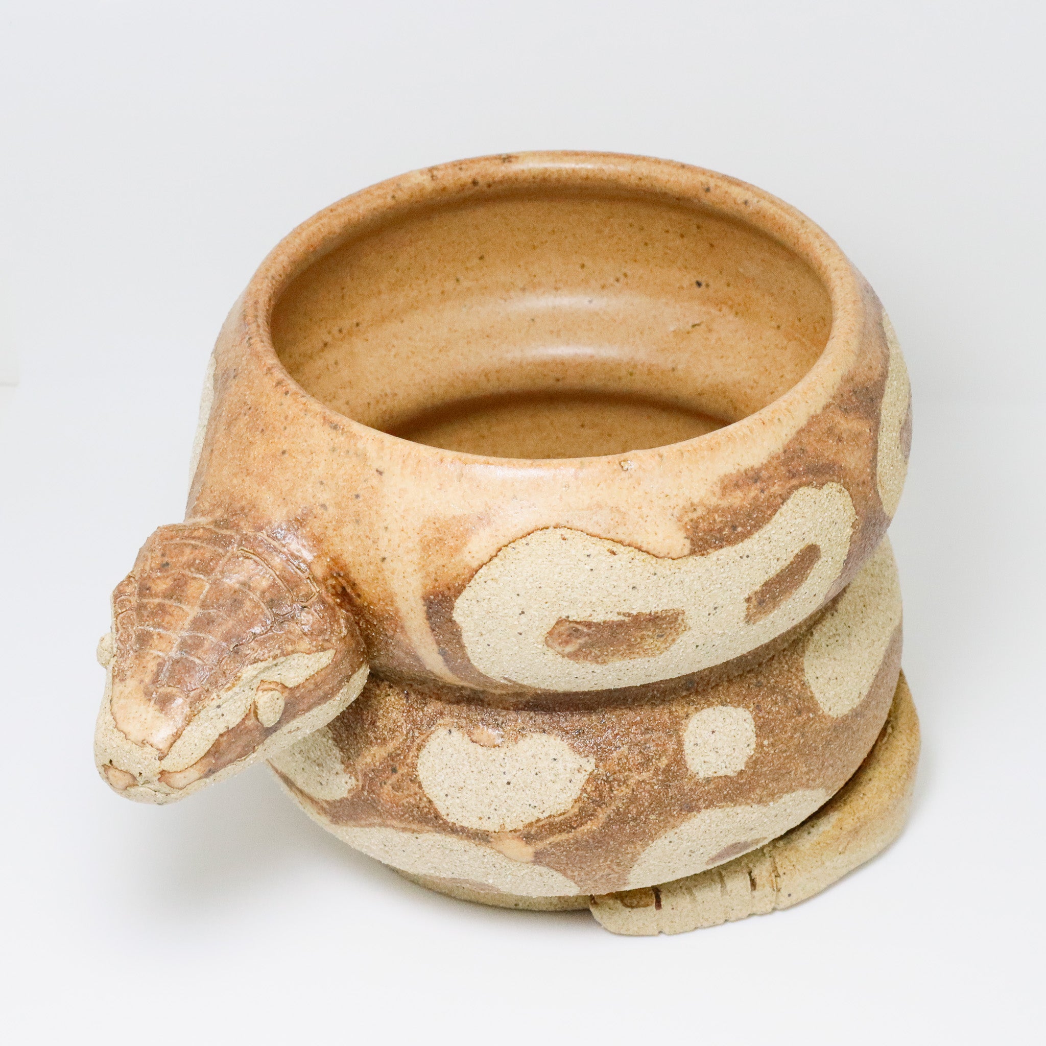Banana Bread | Snake Planter