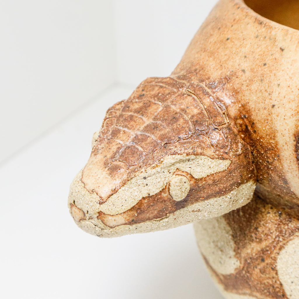 Banana Bread | Snake Planter