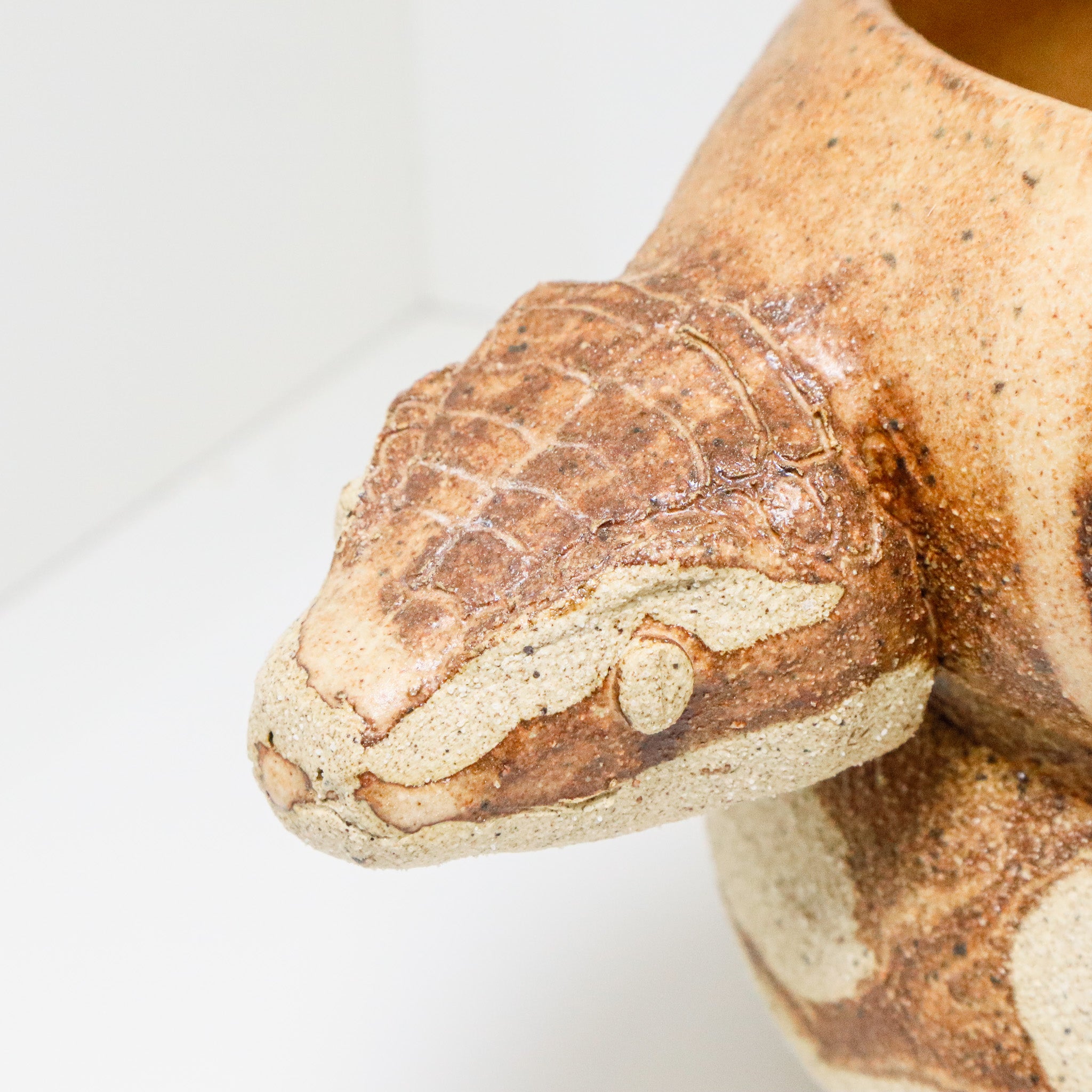 Banana Bread | Snake Planter
