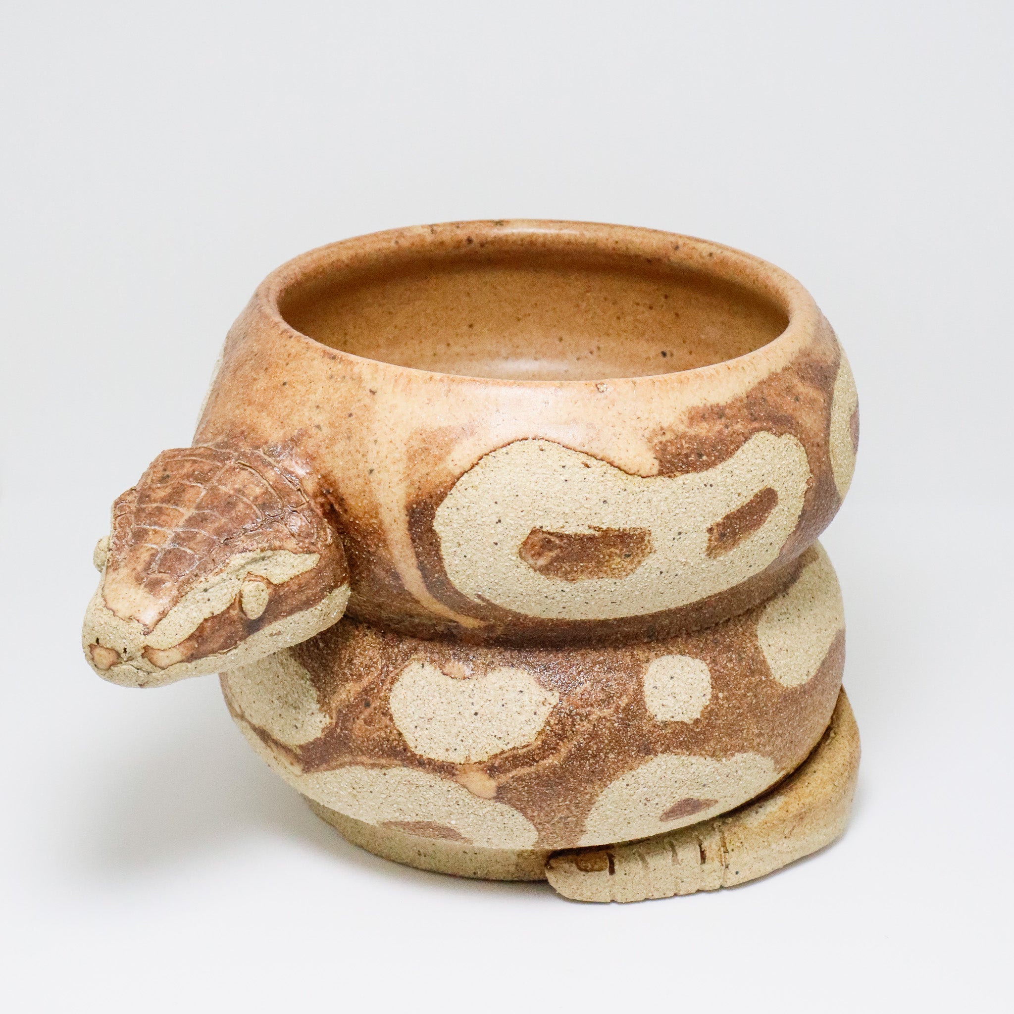 Banana Bread | Snake Planter