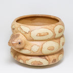 Caramel | Snake Planter