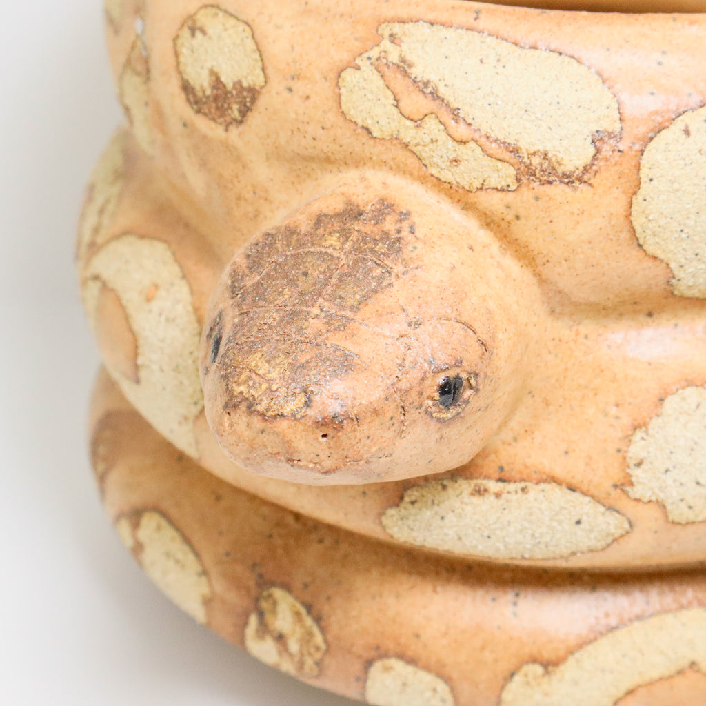 Caramel | Snake Planter