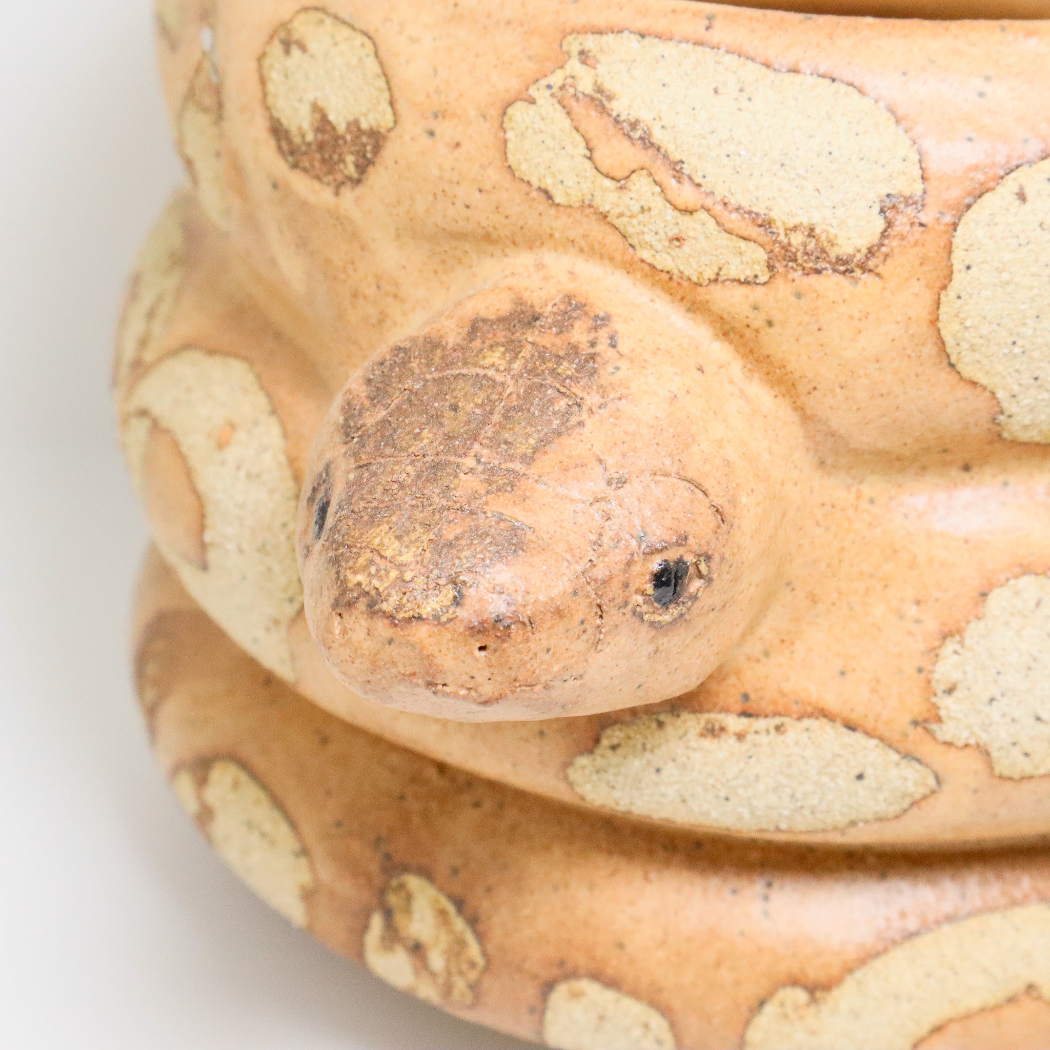 Caramel | Snake Planter