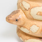 Caramel | Snake Planter