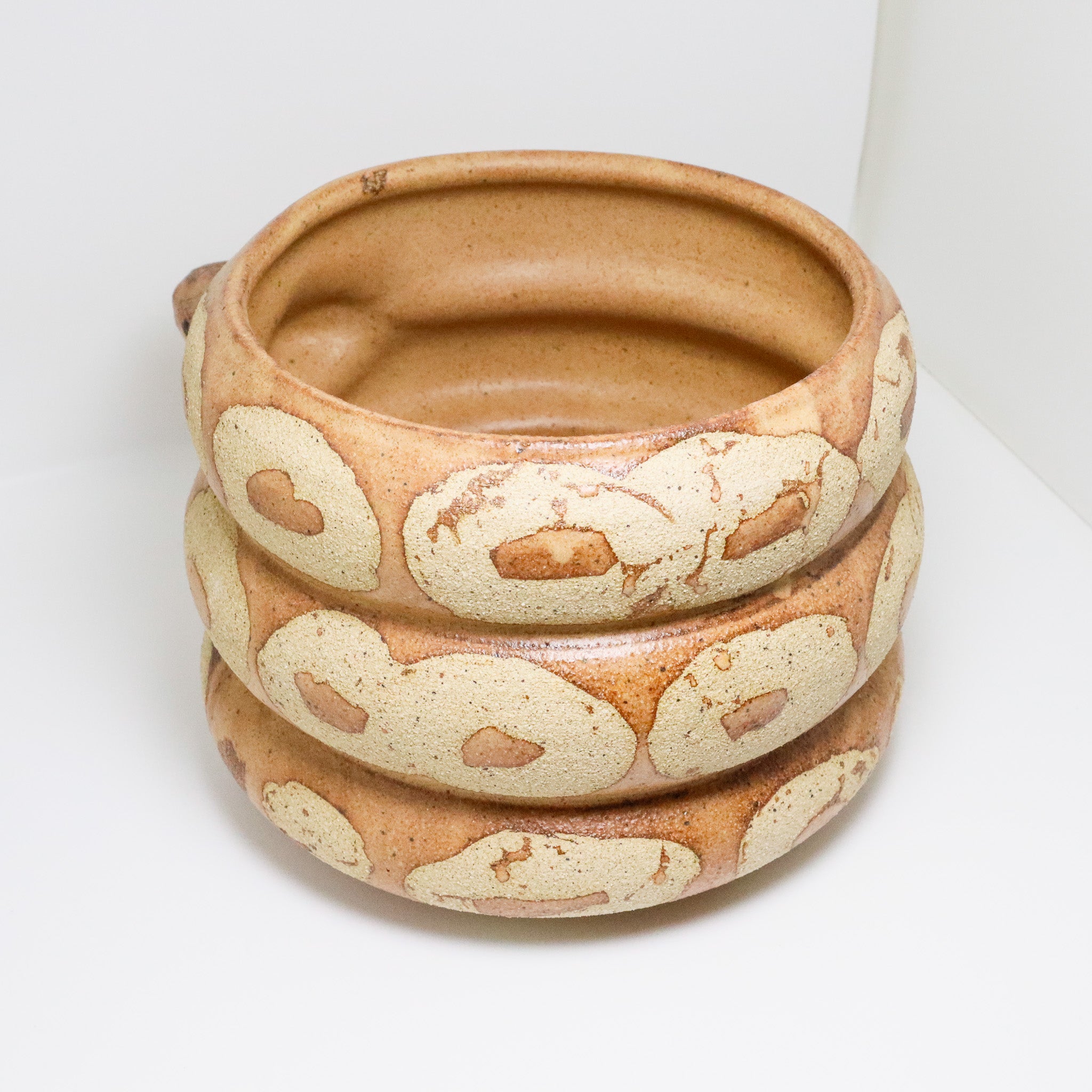 Caramel | Snake Planter