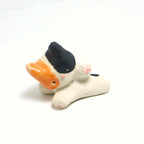 Pookie | Pocket Kitty