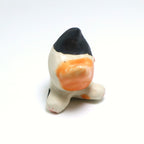 Pookie | Pocket Kitty