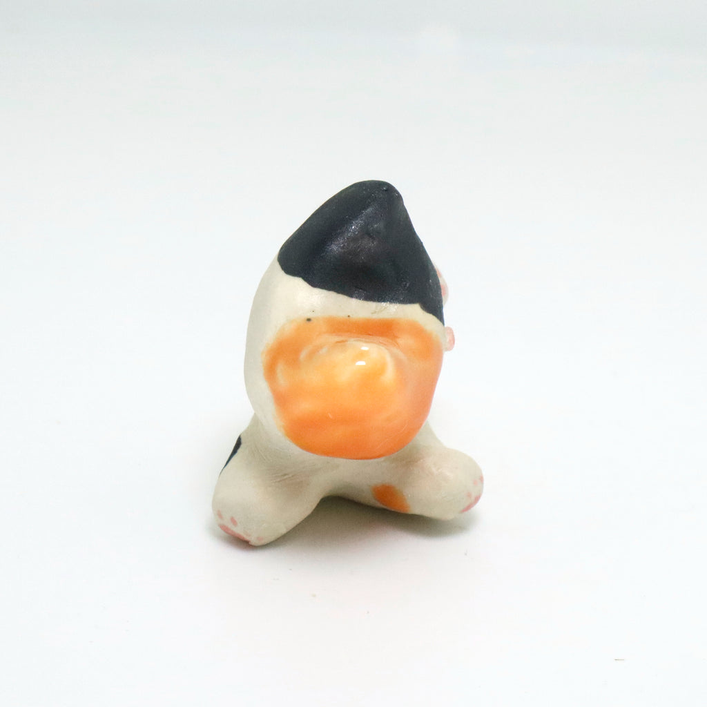 Pookie | Pocket Kitty