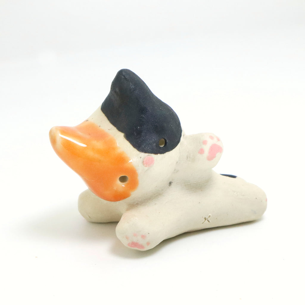 Pookie | Pocket Kitty