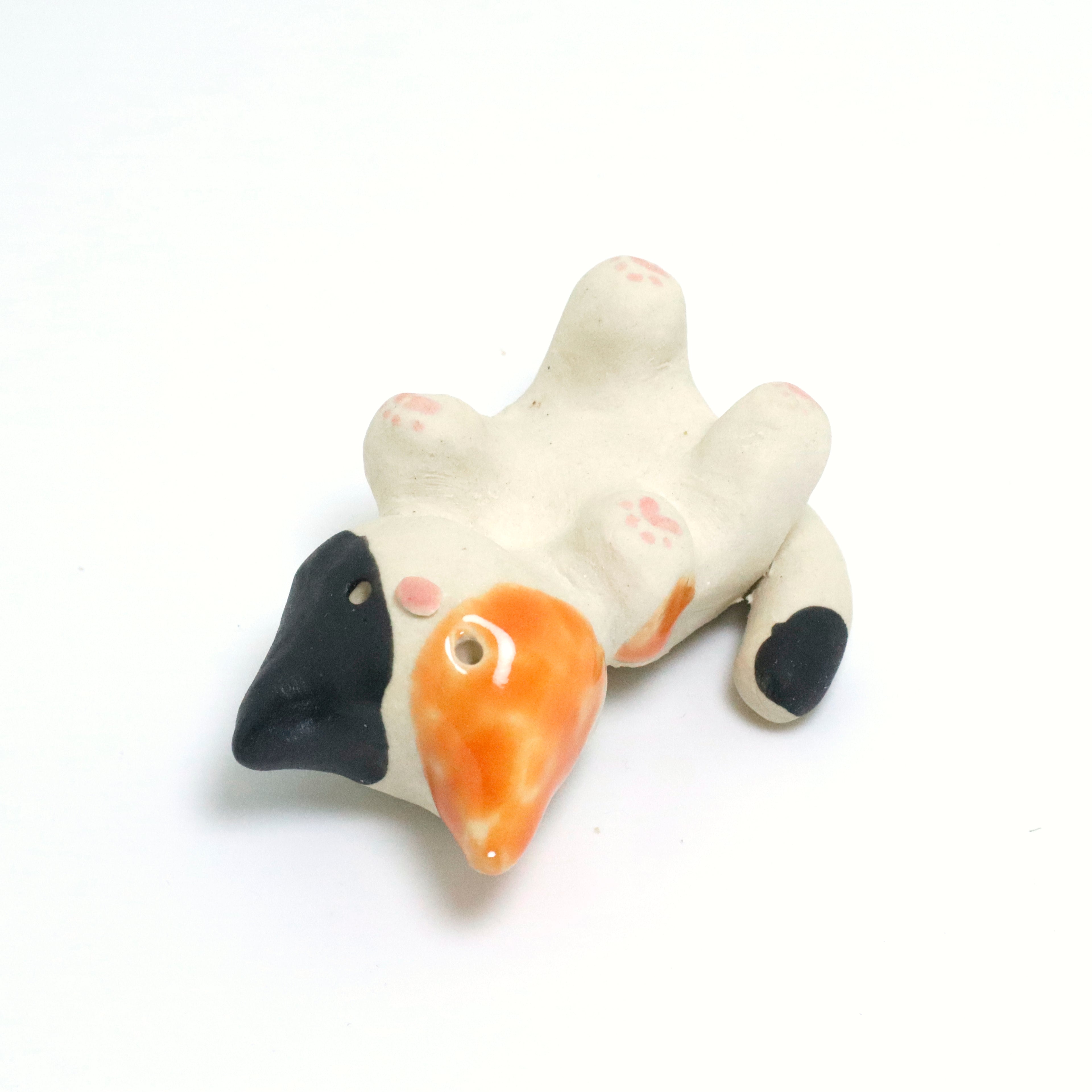 Mr. Dubious | Pocket Kitty