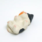 Mr. Dubious | Pocket Kitty