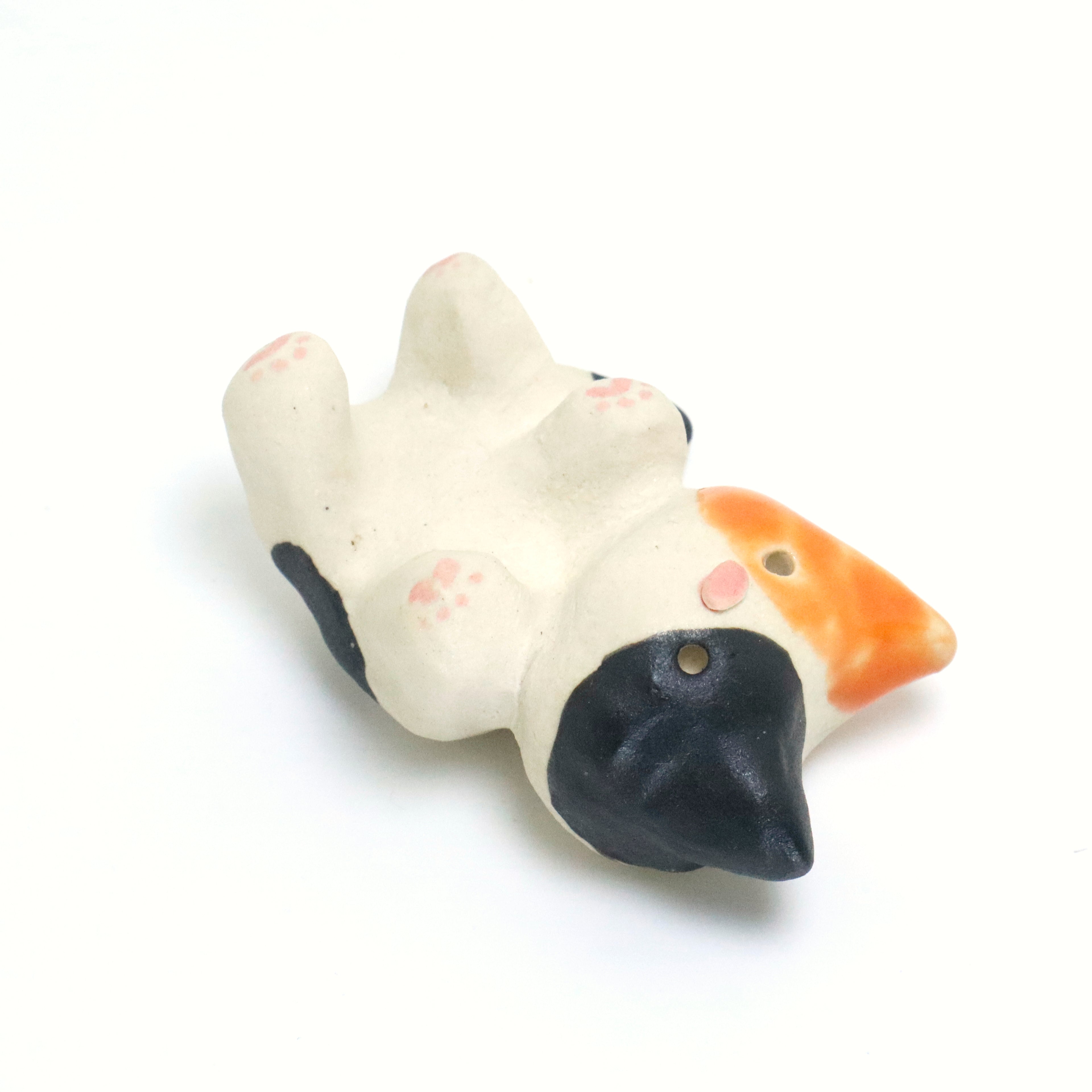 Mr. Dubious | Pocket Kitty