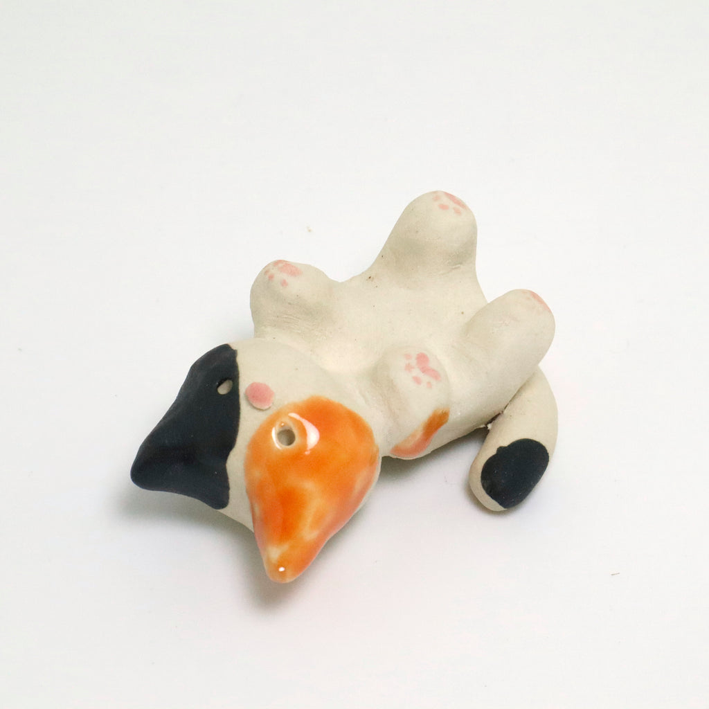 Mr. Dubious | Pocket Kitty