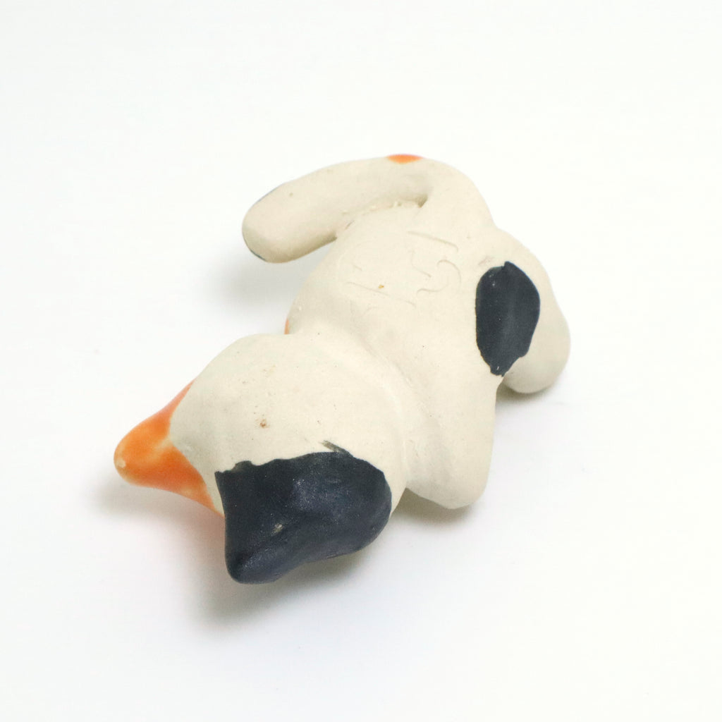 Mr. Dubious | Pocket Kitty