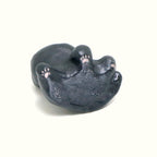 Meteor | Pocket Kitty