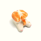 Sunflower | Pocket Kitty