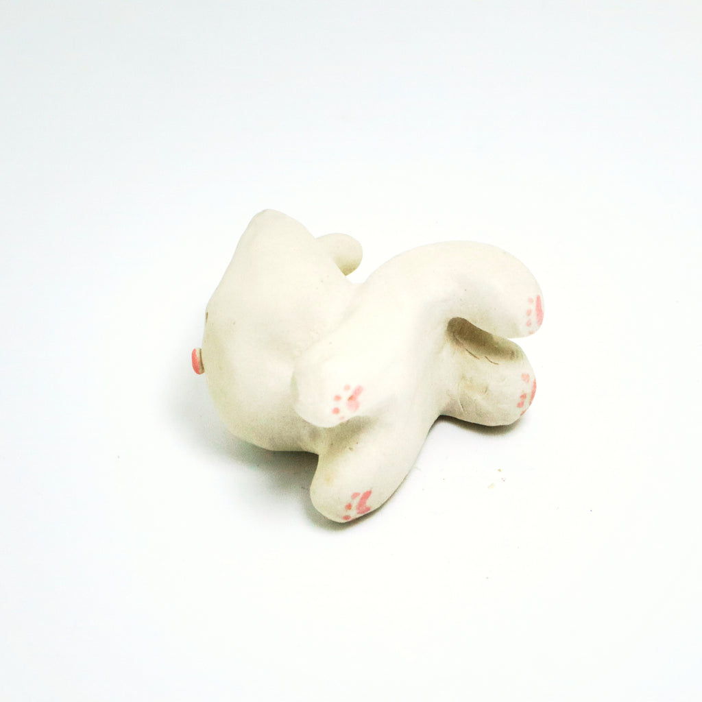 Marshmallow | Pocket Kitty