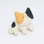 Mr. Stinky | Pocket Kitty